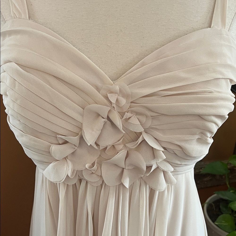 Bill Levkoff Nude/Cream Fit Flare Chiffon Dress w/Pleats & Floral Detail Size 16 - Picture 6 of 16